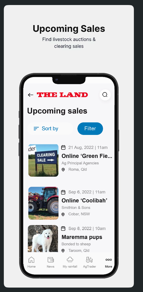 The Land — screen 3