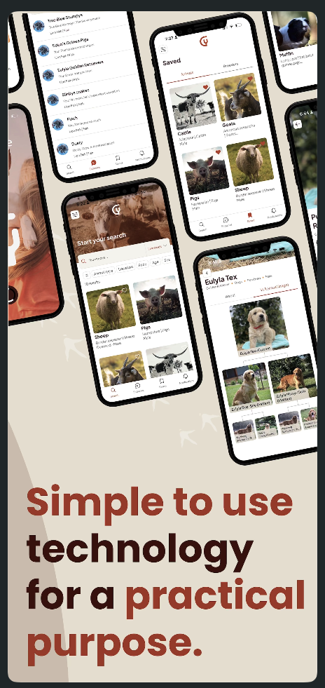 YouChoose — screen 3